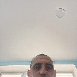 ����, ��������, 39 ���