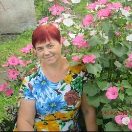 ����, ������������, 61 ���