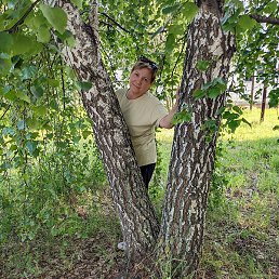 ������, ���������, 58 ���