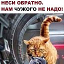 ���� �����, �������, 35 ��� - ��������� 11 ���� 2023 � ������ ���� ����������