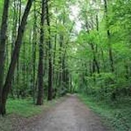 �����, ������, 45 ���