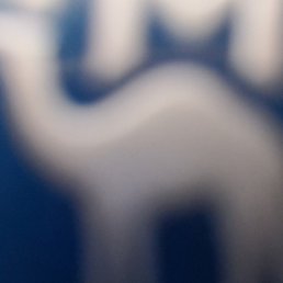 ����, �����������, 56 ���