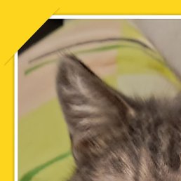 ���, ������, 47 ���