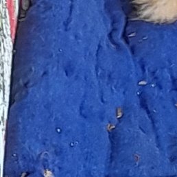 ����, �����, 40 ���