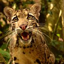 ���� �����, ���������, 40 ��� - ��������� 4 ����� 2023 � ������ ���� ����������