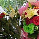 ���� ���� ������������, ������ ����� - ��������� 17 ���� 2023 � ������ ���� ����������