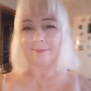 ���� ����, ����, 71 ��� - ��������� 8 ���� 2023 � ������ ���� ����������