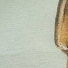 ��, ������, 53 ����