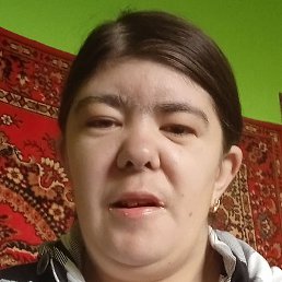 ������, ������, 41 ���