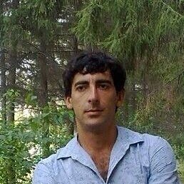 �����, ������, 37 ���