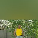 ���� ���������, ������, 54 ���� - ��������� 19 ���� 2023 � ������ ���� ����������