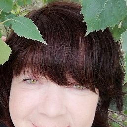 ����, �����-���������