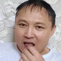 �����, �����-��������, 49 ���