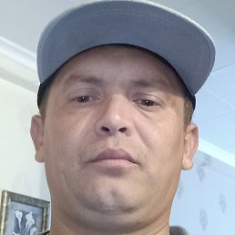 ���������, �����, 40 ���