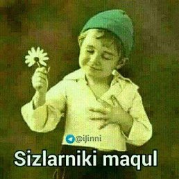 Muzaffar, �����������, 37 ���