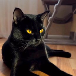 ���� ������, ����, 45 ��� - ��������� 11 ���� 2023