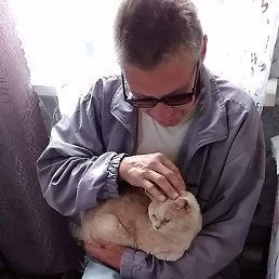 ������, ������, 58 ���