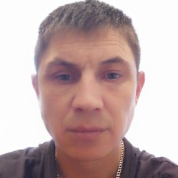 �����, ������, 37 ���