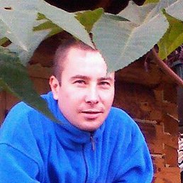 ������, ���������, 41 ���