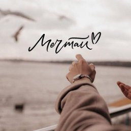 ���� ����, ������, 39 ��� - ��������� 22 ������� 2023