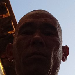 ���������, ���������, 33 ����