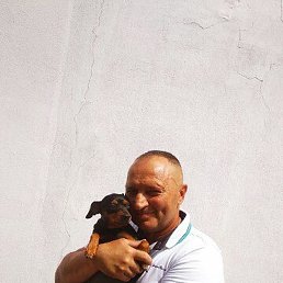 ���������, ��������, 64 ����