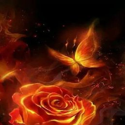 ���, ������������, 29 ���