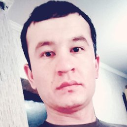 �����, ������, 41 ���