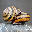 ���� �, ��������, 48 ��� - ��������� 5 �������� 2023 � ������ ���� ����������