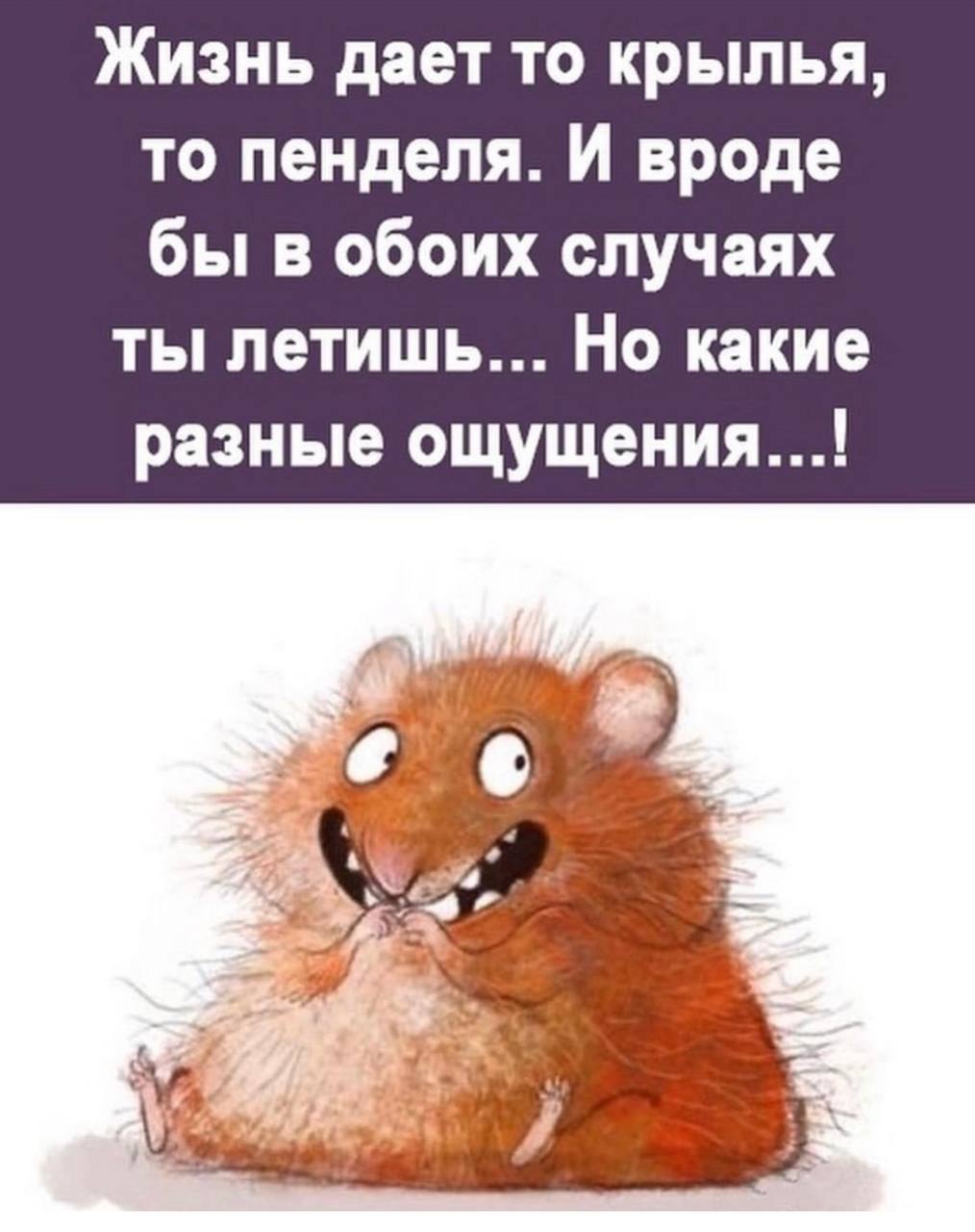  - 20  2023  11:03
