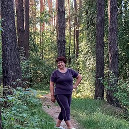 �������, �����, 38 ���