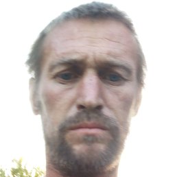 �����, ������, 41 ���