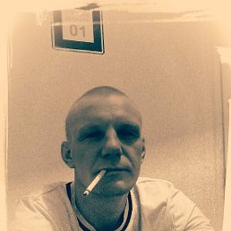 ��������, �����������, 41 ���