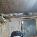 ���� ������, ������, 35 ��� - ��������� 2 ��� 2023 � ������ ���� ����������