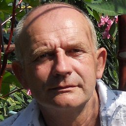 ����, ������, 66 ���