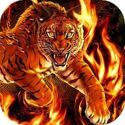 ���������, ������, 39 ���