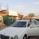 ���� �����, ������, 37 ��� - ��������� 27 ���� 2023 � ������ ���� ����������