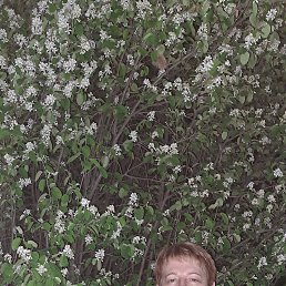 ���� �����, �������, 60 ��� - ��������� 29 ������ 2023