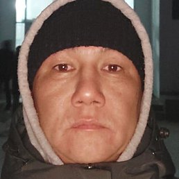 �����, �����, 40 ���