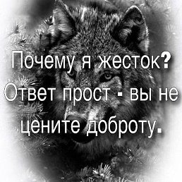 ���, �����-���������, 25 ���