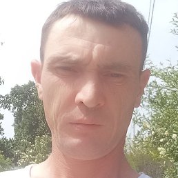 ������, �������, 43 ����