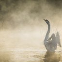 ���� Sergej, ����, 58 ��� - ��������� 11 �������� 2023 � ������ ������ ��������