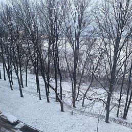 Zvelt1, ������, 44 ����