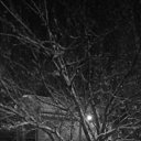 ���� ������, ������� - ��������� 7 ������ 2023 � ������ ���� ����������