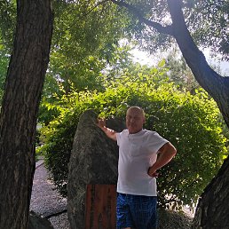 �����, ����, 55 ���