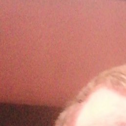 ��������, �����-���������, 37 ���