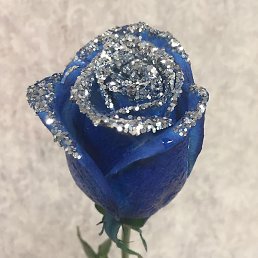 ���, �����������, 38 ���