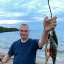 ���� ������, ������, 49 ��� - ��������� 23 �������� 2023 � ������ ���� ����������