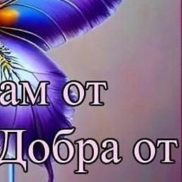 ���, �����, 51 ���