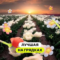 ����, �����, 35 ���